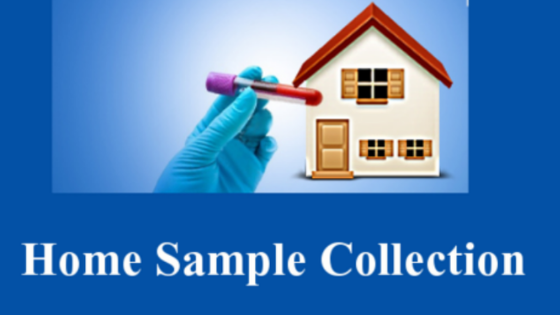 vignesh diagnostics centre